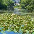 茅家埠景区 - 杭州旅游 缩略图 4