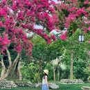 成都龙潭水乡 - 成都市旅游 缩略图 7