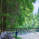 成都香格里拉 - 成都市旅游 缩略图 5