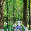 成都香格里拉 - 成都市旅游 缩略图 1