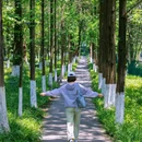 成都香格里拉 - 成都市旅游 缩略图 8