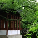 小西湖郭庄 - 杭州市旅游 缩略图 3
