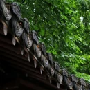 小西湖郭庄 - 杭州市旅游 缩略图 8