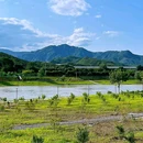 三家店蒲草湿地公园 - 北京市旅游 缩略图 7