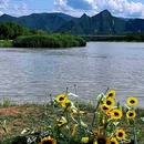 三家店蒲草湿地公园 - 北京市旅游 缩略图 6