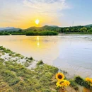 三家店蒲草湿地公园 - 北京市旅游 缩略图 8