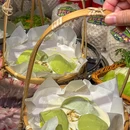 蔡椰大·椰子鸡(佳宁娜店) - 深圳市旅游 缩略图 6