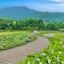 成都香格里拉 - 成都市旅游 缩略图 2