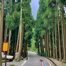 成都香格里拉 - 成都市旅游 缩略图 5