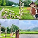 成都香格里拉 - 成都市旅游 缩略图 9