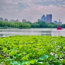 北京国际鲜花港 - 北京市旅游 缩略图 6