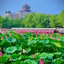 北京国际鲜花港 - 北京市旅游 缩略图 7