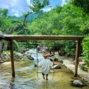 江西婺源饶河源国家湿地公园 - 上饶市旅游 缩略图 5