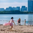 天鹅湖 - 合肥市旅游 缩略图 4