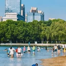 天鹅湖 - 合肥市旅游 缩略图 9