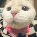 小笼包