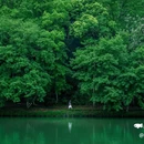 缙云仙都岩宕 - 丽水市旅游 缩略图 7