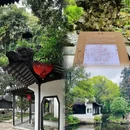 近园 - 常州市旅游 缩略图 8