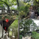 近园 - 常州市旅游 缩略图 9
