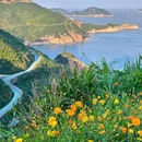 石塘竹海 - 南京市旅游 缩略图 4