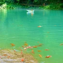 水晶宫 - 六安市旅游 缩略图 2