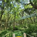 水晶宫 - 六安市旅游 缩略图 8