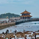 青岛栈桥 - 青岛市旅游 缩略图 1