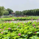 北海公园 - 北京市旅游 缩略图 3