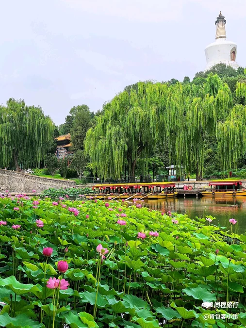 北海公园 - 北京市旅游