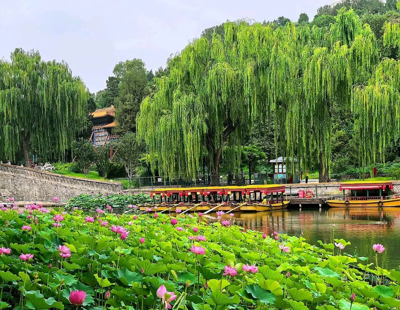 北海公园 - 北京市旅游 1