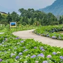 宝山旅游景区 - 成都市旅游 缩略图 1