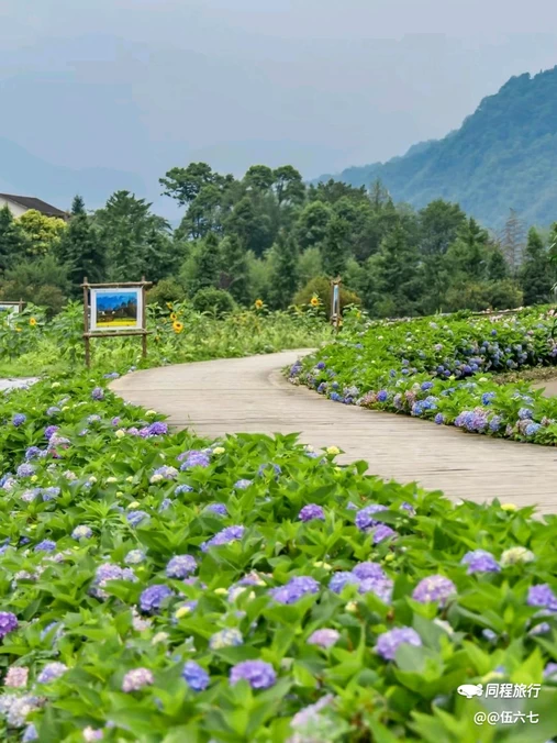 宝山旅游景区 - 成都市旅游