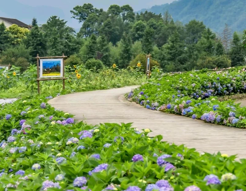 宝山旅游景区 - 成都市旅游 1