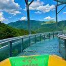 莫干山江南瑶坞旅游度假区 - 湖州市旅游 缩略图 9