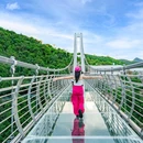 莫干山江南瑶坞旅游度假区 - 湖州市旅游 缩略图 7