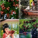 宝墨园景区 - 广州市旅游 缩略图 4