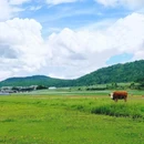 沐山苑·花园民宿(丽江古城南门忠义市场店) - 丽江市旅游 缩略图 4