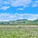 沐山苑·花园民宿(丽江古城南门忠义市场店) - 丽江市旅游 缩略图 3