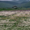 沐山苑·花园民宿(丽江古城南门忠义市场店) - 丽江市旅游 缩略图 9