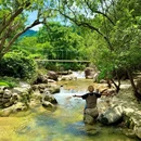 石门峡山野秘境 - 上饶市旅游 缩略图 7