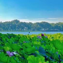 茅家埠景区 - 杭州旅游 缩略图 4