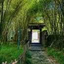 茅家埠景区 - 杭州旅游 缩略图 6