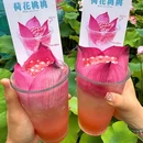 观沙岭 - 长沙市旅游 缩略图 4