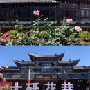 丽江古城 - 丽江市旅游 缩略图 3