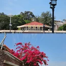 鼓浪屿 - 厦门市旅游 缩略图 4