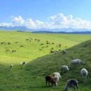 喀拉峻风景区 - 伊犁哈萨克自治州旅游 缩略图 1
