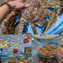 上海植物园 - 上海市旅游 缩略图 5