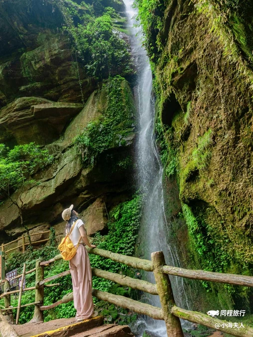 碧峰峡景区 - 雅安市旅游