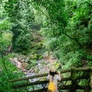 碧峰峡景区 - 雅安市旅游 缩略图 6