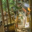 黄葛古道 - 重庆市旅游 缩略图 2